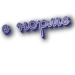 В норме