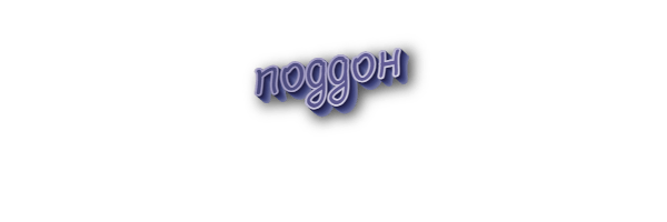 Поддон