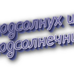 Подсолнух и подсолнечник